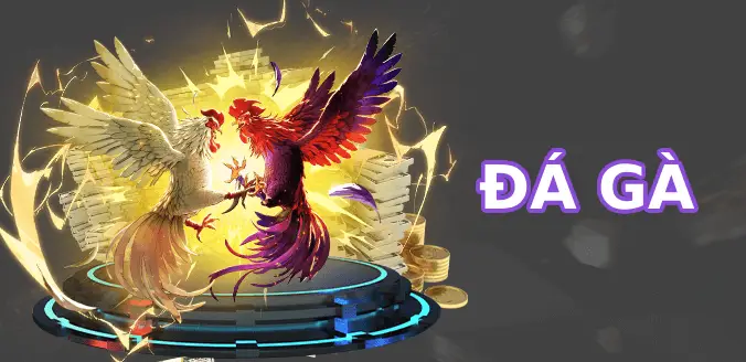 Đá gà