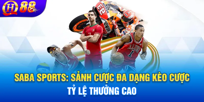 Sảnh cá cược thể thao Saba Sports